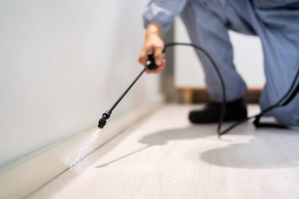Licensed Pest Control service in Flagler Estates, FL - Show Me Pest Control