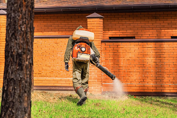 Bed Bug Clearance Verification and Documentation in Flagler Estates